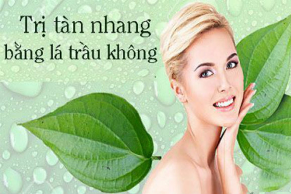 Điều trị nám da mặt tại nhà hiệu quả bằng lá trầu không